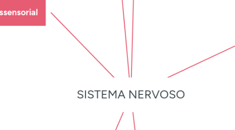 Mind Map: SISTEMA NERVOSO