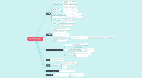 Mind Map: International Aviation and Climate Adaption Policy