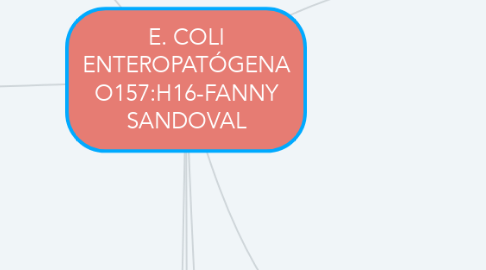 Mind Map: E. COLI ENTEROPATÓGENA O157:H16-FANNY SANDOVAL