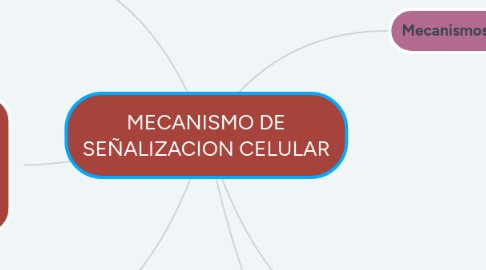 Mind Map: MECANISMO DE SEÑALIZACION CELULAR