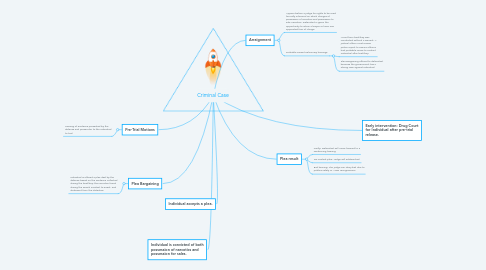 Mind Map: Criminal Case