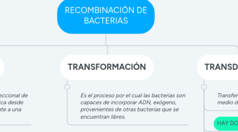 Mind Map: RECOMBINACIÓN DE BACTERIAS