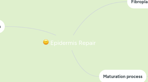 Mind Map: Epidermis Repair