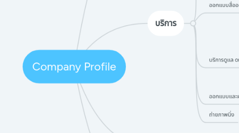 Mind Map: Company Profile