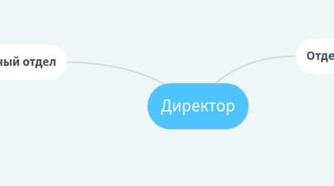 Mind Map: Директор