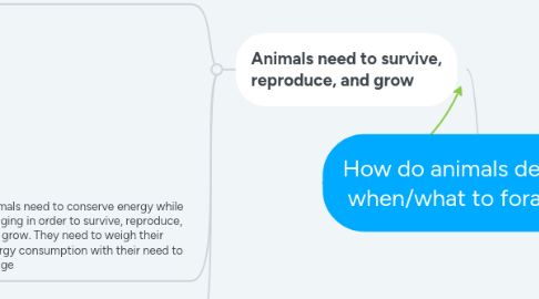 Mind Map: How do animals decide when/what to forage?