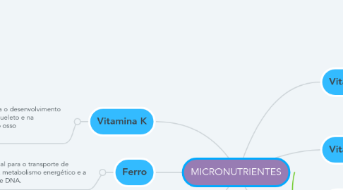 Mind Map: MICRONUTRIENTES