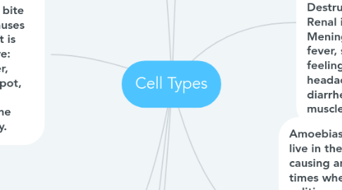 Mind Map: Cell Types