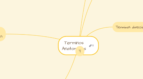 Mind Map: Terminos Anatomicos