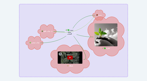 Mind Map: دورة حياة النبات