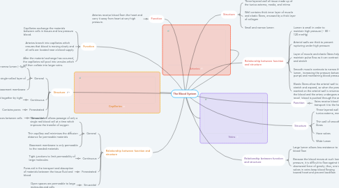Mind Map: The Blood System