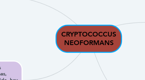 Mind Map: CRYPTOCOCCUS NEOFORMANS