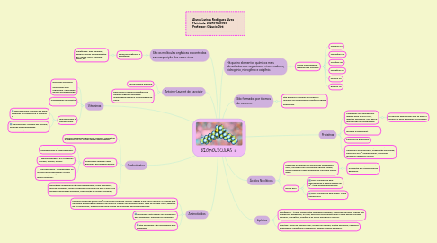 Mind Map: BIOMOLÉCULAS