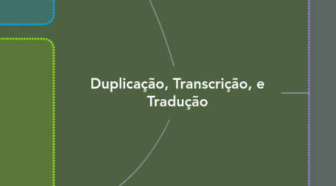 Mind Map: Duplicação, Transcrição, e Tradução