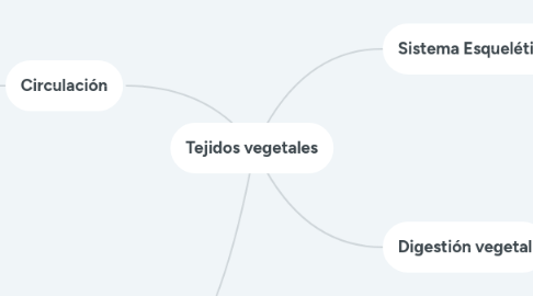 Mind Map: Tejidos vegetales