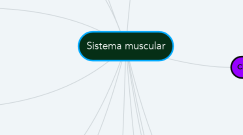 Mind Map: Sistema muscular