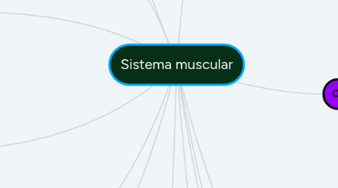 Mind Map: Sistema muscular