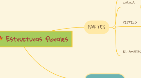 Mind Map: Estructuras florales