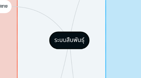 Mind Map: ระบบสืบพันธุ์