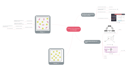 Mind Map: Thème 1:C1-corps purs et mélanges