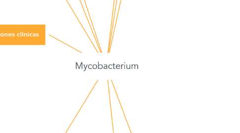 Mind Map: Mycobacterium