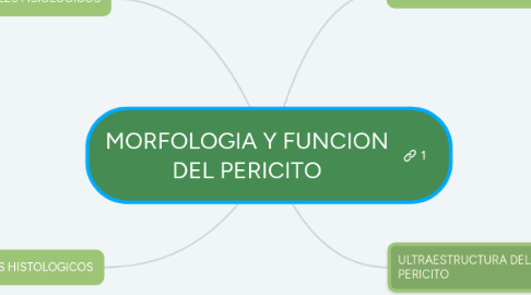 Mind Map: MORFOLOGIA Y FUNCION DEL PERICITO