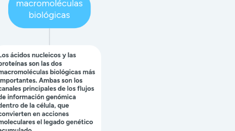 Mind Map: macromoléculas biológicas