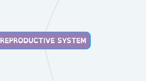 Mind Map: REPRODUCTIVE SYSTEM