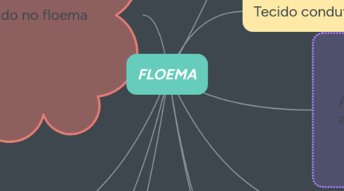 Mind Map: FLOEMA