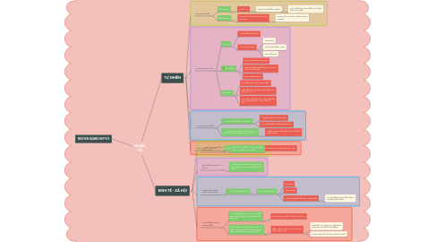 Mind Map: NHÂN TỐ