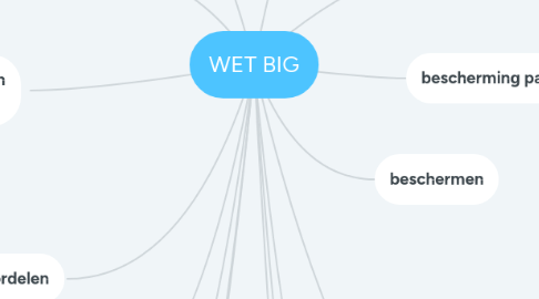 Mind Map: WET BIG