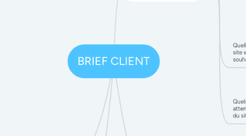 Mind Map: BRIEF CLIENT