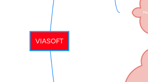 Mind Map: VIASOFT