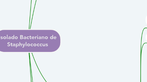 Mind Map: Isolado Bacteriano de Staphylococcus