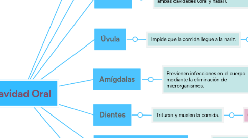 Mind Map: Cavidad Oral