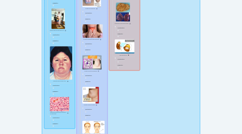 Mind Map: Sistema Endocrino