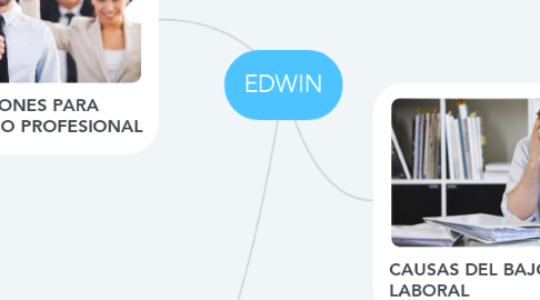 Mind Map: EDWIN