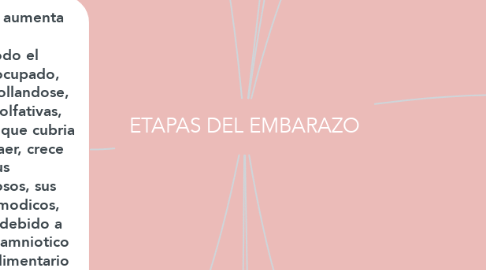Mind Map: ETAPAS DEL EMBARAZO