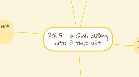 Mind Map: Bài 5 - 6 :Dinh dưỡng nitơ ở thực vật