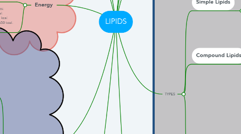 Mind Map: LIPIDS