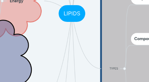 Mind Map: LIPIDS