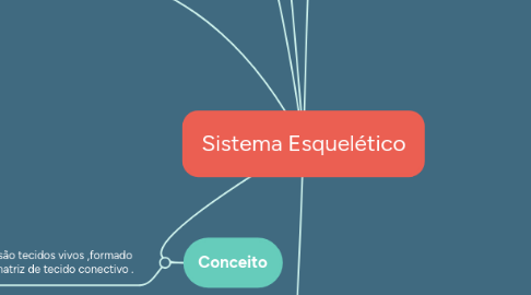 Mind Map: Sistema Esquelético