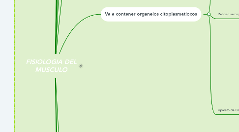 Mind Map: FISIOLOGIA DEL MUSCULO