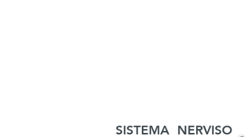 Mind Map: SISTEMA  NERVISO CENTRAL (SNC)