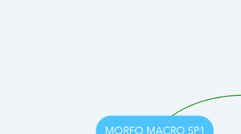 Mind Map: MORFO MACRO SP1