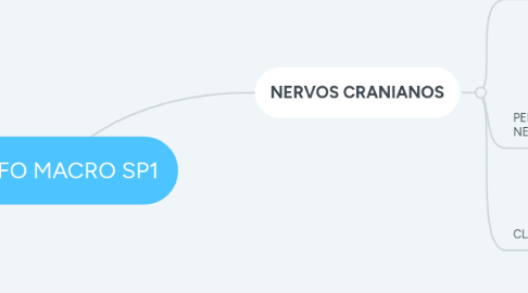 Mind Map: MORFO MACRO SP1