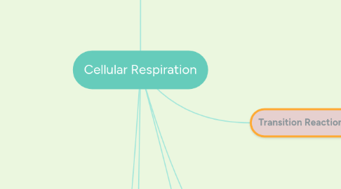 Mind Map: Cellular Respiration