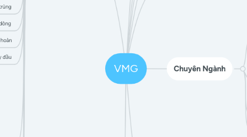 Mind Map: VMG