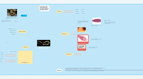 Mind Map: Dipylidium caninum