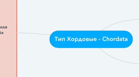 Mind Map: Тип Хордовые - Chordata